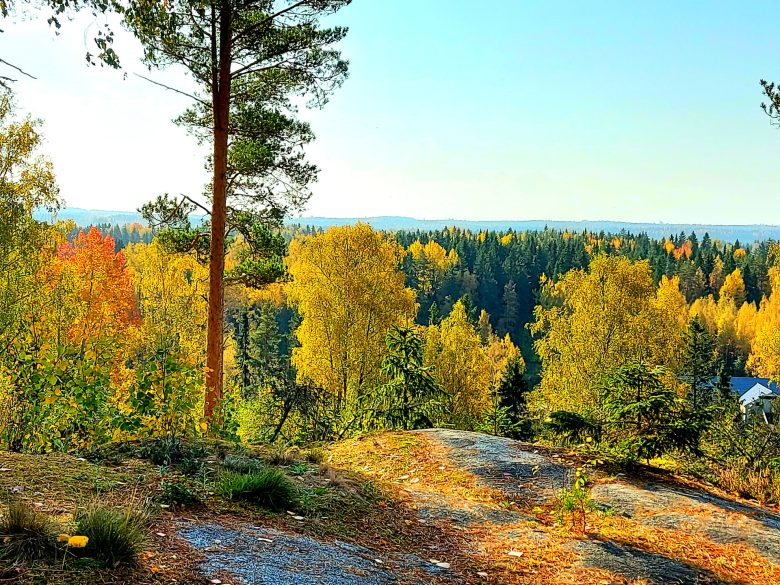 The highlight of the park is the view from Pölkinvuori's peak.